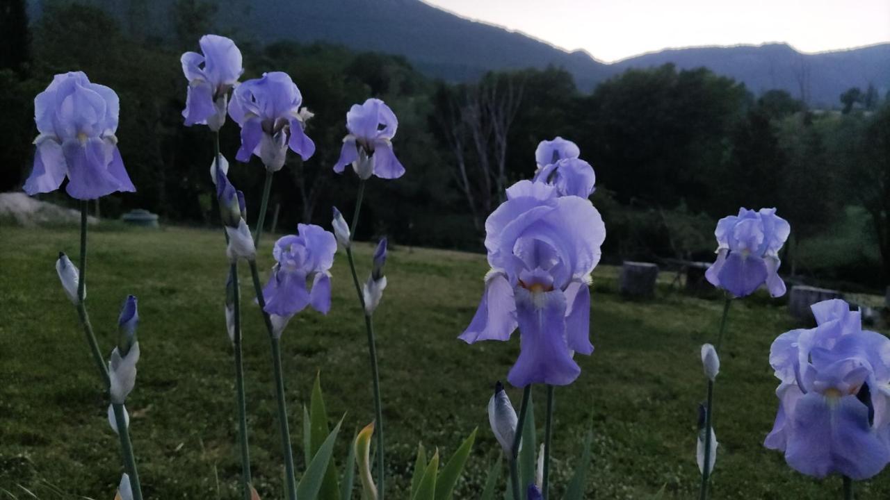 Hotel La Casa Di Elena Camerino Zewnętrze zdjęcie